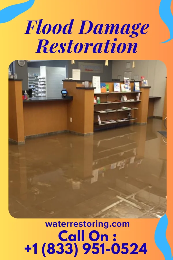 Flood Damage Restoration in Graceville, FL