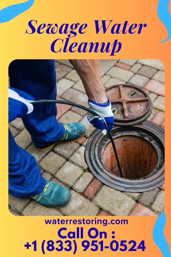 Sewage Water Cleanup in Graceville, FL