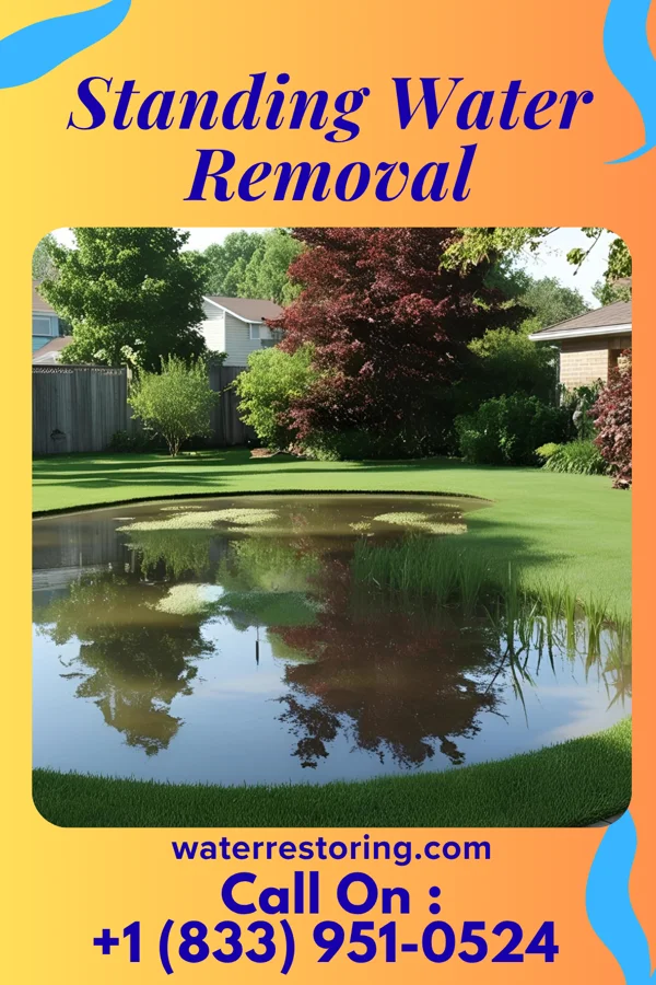Standing Water Removal in Graceville, FL
